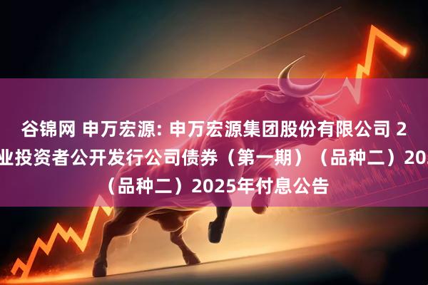 谷锦网 申万宏源: 申万宏源集团股份有限公司 2023年面向专业投资者公开发行公司债券（第一期）（品种二）2025年付息公告